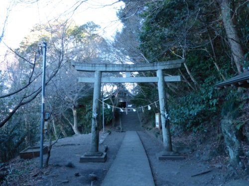 画像4